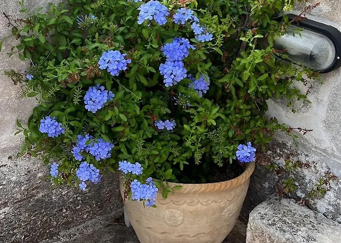 Small Tower * Gagliano del Capo